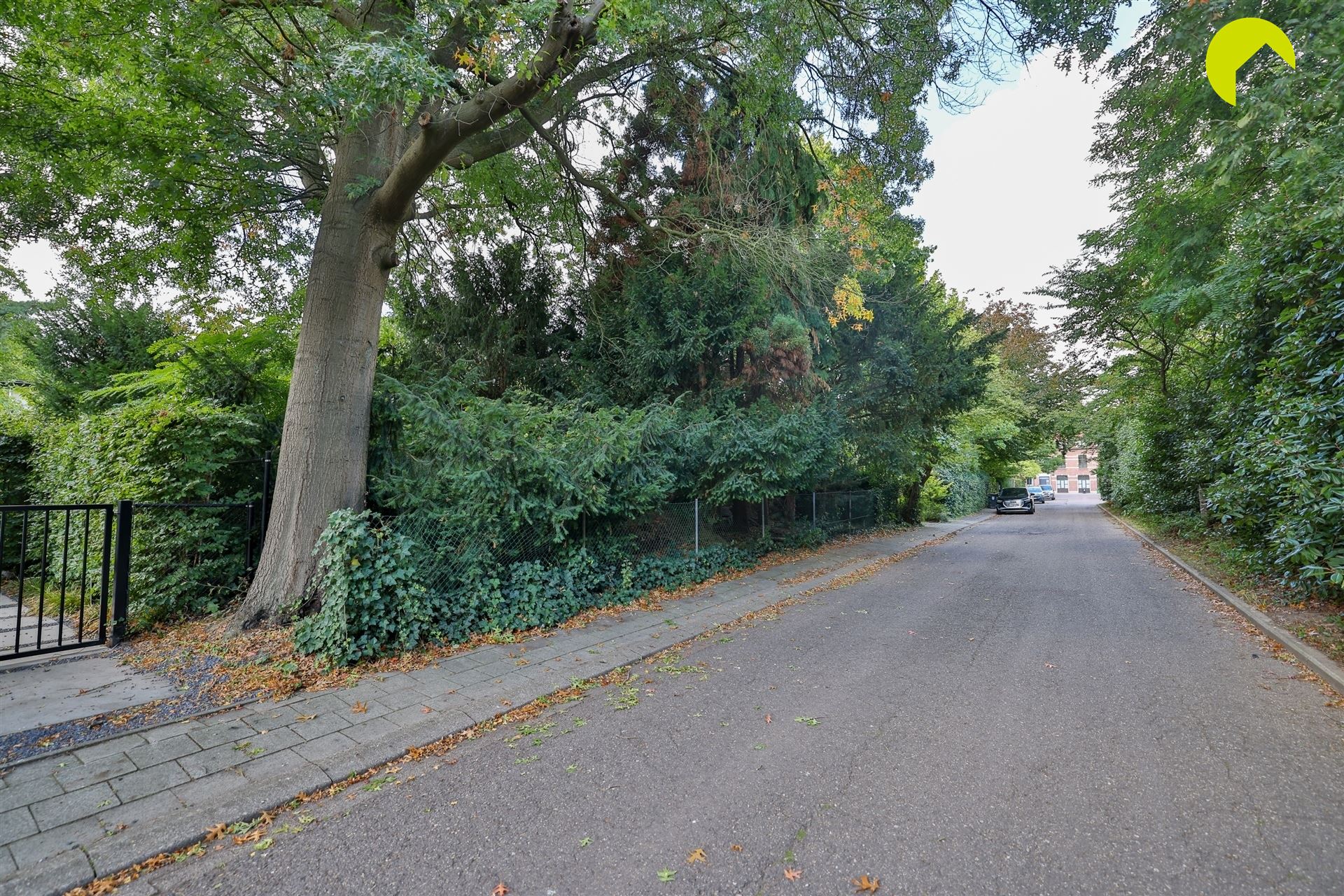 Bouwgrond  in de Dieseghemwijk te koop! - foto 5