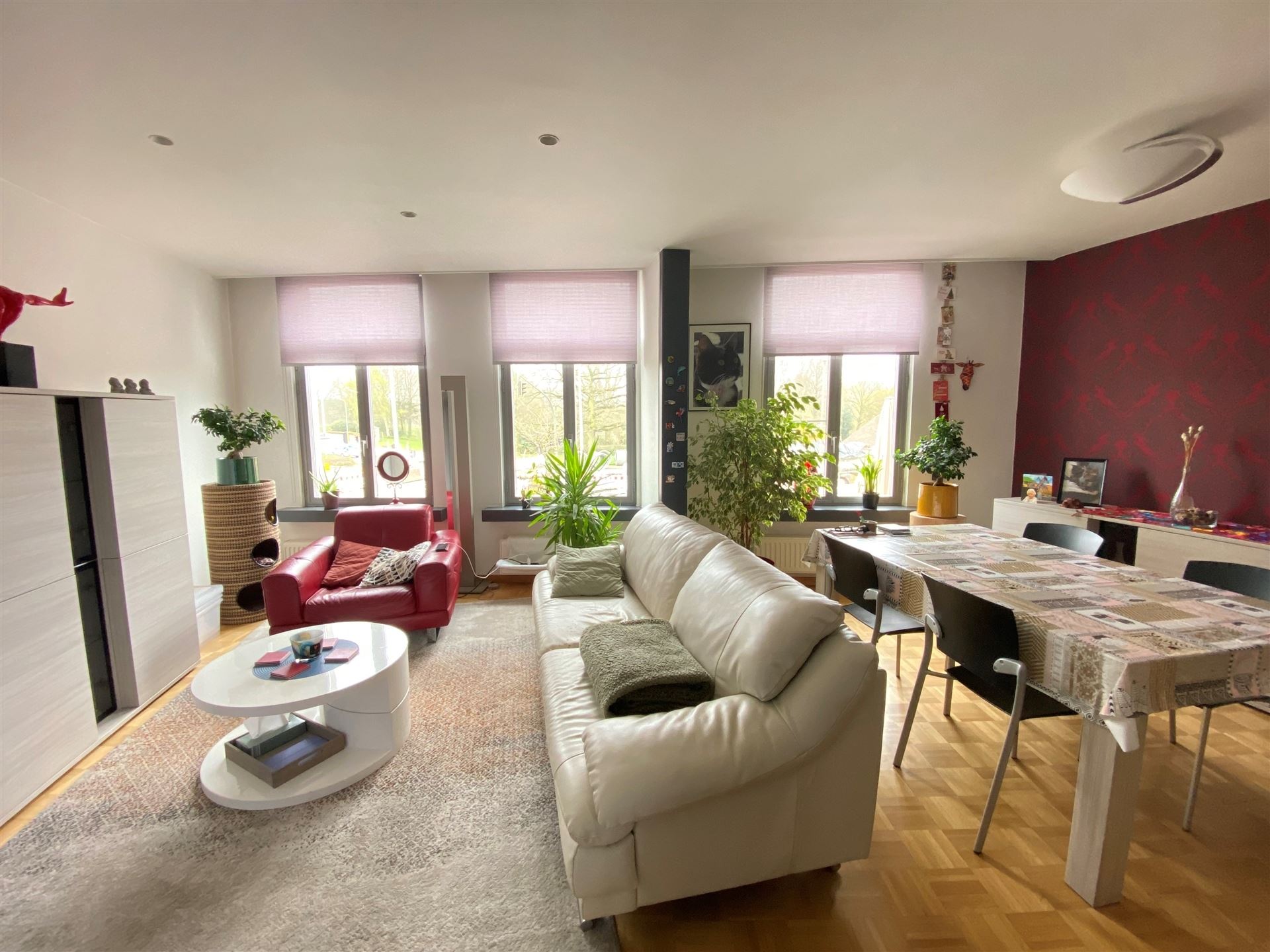 Duplex met 2 slpks, groot terras en tuin. - foto 5