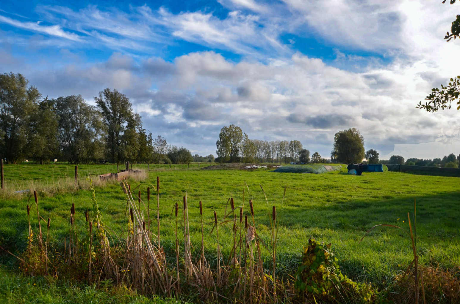 Passiefhuis - nieuwbouw op de grens van Lokeren en Overmere - foto 5