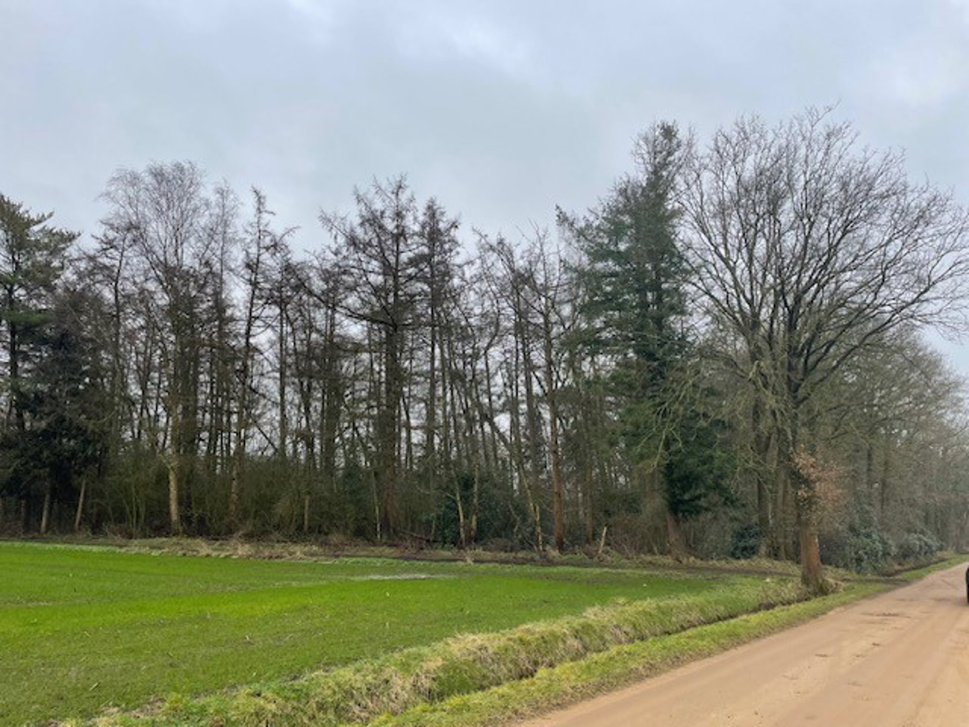 Terrain à vendre à Lille - photo 3