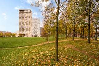 Ben je opzoek naar een twee slaapkamer appartement op een strategische ligging of een uitstekende investering met potentiëel sterke meerwaarde komende jaren? Dan is dit de uitgelezen kans!

Ligging:
Dit appartement geniet van een uitstekende locatie in de Ellermanstraat, pal in de bruisende Cadixwijk op het Eilandje. Je woont er op wandelafstand van het MAS, het Havenhuis, gezellige horeca, supermarkten en mooie wandel- en fietspromenades langs het water. Dankzij de nabijheid van verschillende tram- en bushaltes, Velo-stations en vlotte verbindingen naar de Leien en de Antwerpse Ring, is zowel de binnenstad als de rest van de stad eenvoudig bereikbaar. Een ideale uitvalsbasis voor wie houdt van stadsleven, ontspanning aan het water en alle voorzieningen binnen handbereik.

Indeling:
Bij het binnenkomen valt meteen het zeer ruimtelijke gevoel op, gecreëerd door de hoge plafonds en de prachtige lichtinval in de leefruimte met open keuken. De keuken is volledig uitgerust met alle nodige toestellen en sluit naadloos aan op de lichtrijke leefruimte, wat zorgt voor een aangename en open woonbeleving.
De badkamer is voorzien met douche in bad en badkamermeubel. De toilet is apart voorzien van de badkamer. De twee volwaardige slaapkamers genieten van de ochtendzon en het uitgestrekte zicht over Park Spoor Noord.

Ondergrondse parking optioneel aan te kopen met reeds geïnstalleerde laadpaal 37.000 EUR.

TROEVEN:
+ Nieuwbouw zonder BTW te hoeven betalen;

+ Uitstekende EPC;

+ Elektriciteit conform;

+ Strategische ligging.

