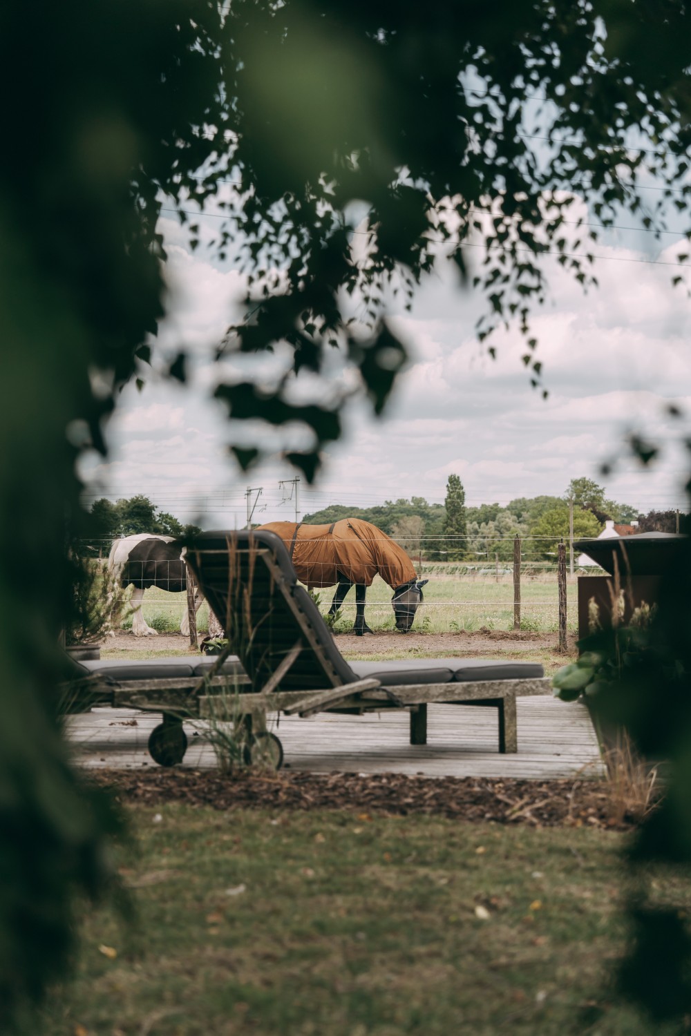 Exclusief vastgoed – prachtig gelegen, volledig omringd door groen. - foto 5