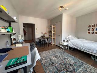 <span><strong>ACADEMIEJAAR 2026-2027 - ENKEL STUDENTEN/STUDENTS ONLY</strong></span><br /><br /><span>Studentenkamer met eigen sanitair, gelegen in de Lepelstraat dewelke parallel gelegen is tussen de Diestsestraat en dé Bondgenotenlaan. Het pand is omgeven door zijn historische gebouwen, winkels, campussen, openbaar vervoer … Kortom, je kan er alles vinden in de nabijheid.</span><br /><br /><span>De kamer beschikt over een privatie badkamer en wordt deels meubeld verhuurd. Fietsen kunnen inpandig geplaatst worden!</span><br /><br /><strong><span>Interesse in een bezoek ter plaatse? 016 229 228 of verhuur@connect-immo.be</span><br /><br />Huurprijs: €620 + €120 provisie lasten (water, verwarming, elektriciteit en internet)<br /></strong><span>EPC: 123 kWh/m² - 1744549</span>