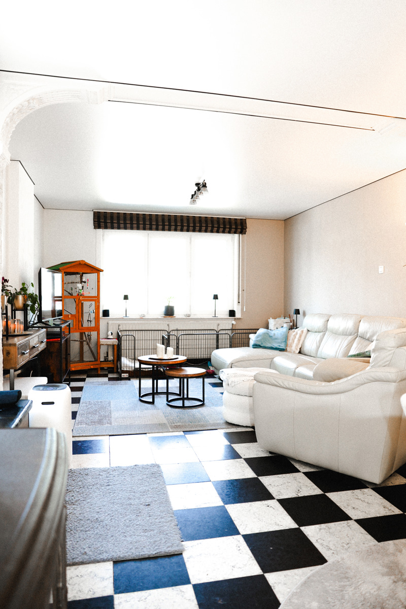 VERNIEUWDE WOONST + 2 WEIDEN + BOS - foto 4