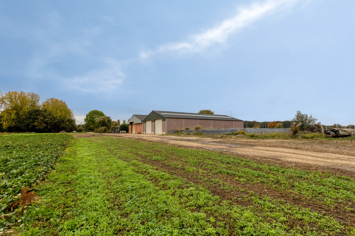 Prachtige boerderij op 1,4 hectare grond in Rekem/Lanaken - foto 4