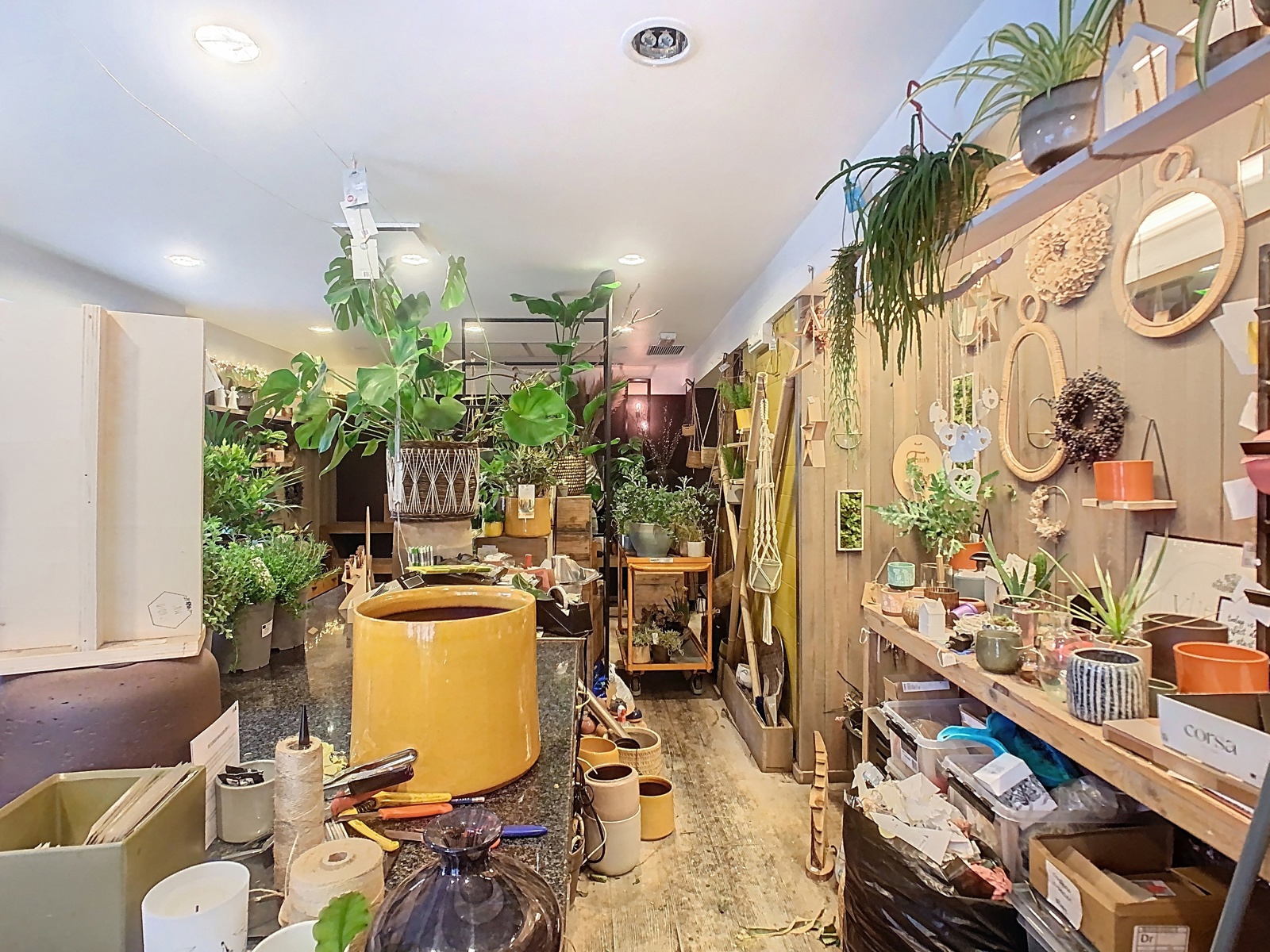 Commercial for rent in Lier - photo 3