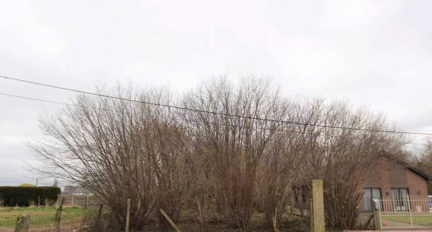 Moderne nieuwbouwwoning in een rustige straat - foto 5