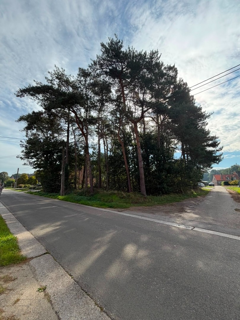 LOT 4 Zuidgerichte bouwgrond HOB - foto 1