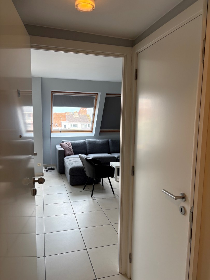 Gemeubeld duplexappartement met zonneterras - foto 3