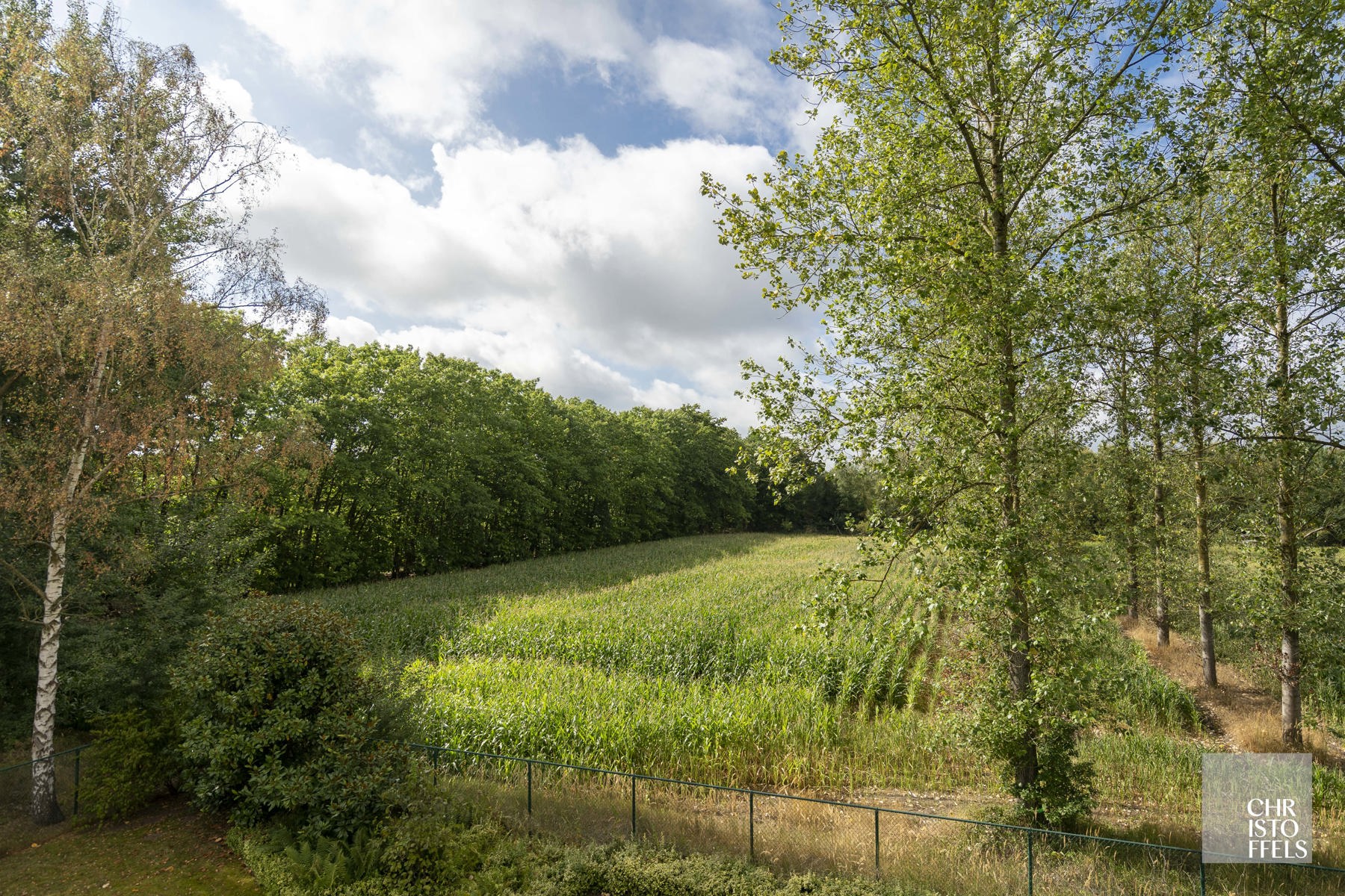 Penthouse (282 m²) met zuidgeoriënteerd terras in Hasselt! - foto 3