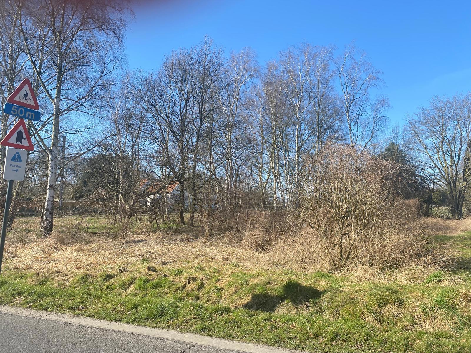 Projectgrond voor 2 HOB - totale opp. ca. 1532 m² - foto 4