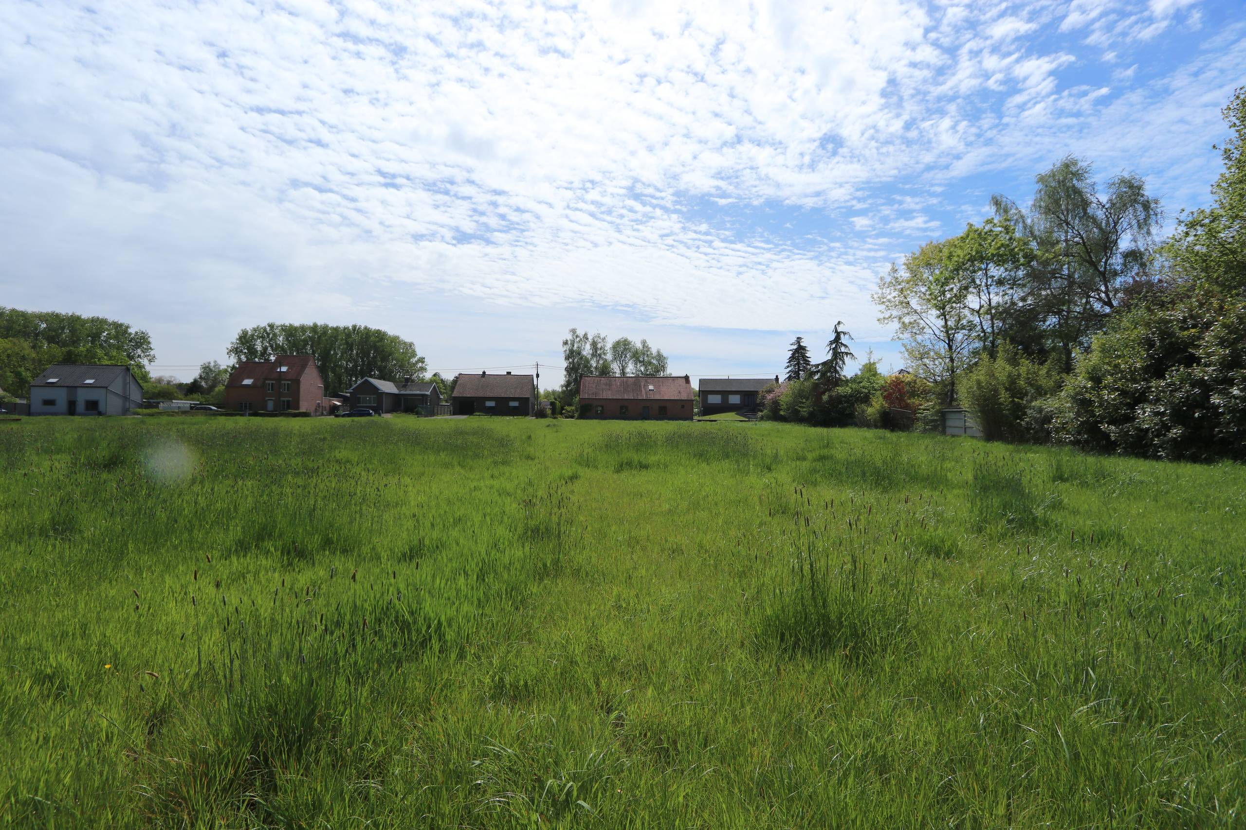 Terrain à vendre à Aarschot - photo 5