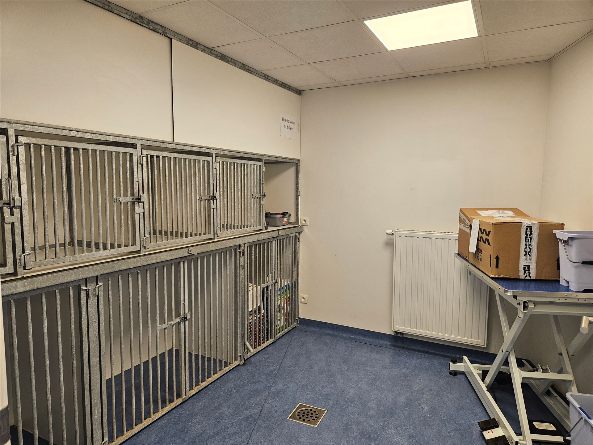 handelspand - foto 4