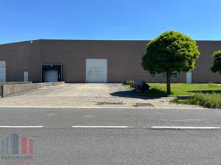 Uitstekend gelegen magazijn te koop in Temse. Het bedrijfsgebouw bevindt zich op een toplocatie, vlak aan de N16 en op amper 5 minuten van de E17 (op- en afrit 15 Temse). Via deze weg geniet u van een zeer vlotte bereikbaarheid richting Gent &amp; Antwerpen.<br /><br />De magazijnruimte uit betonstructuur heeft een oppervlakte van 1.003 m² en is voorzien van lichtstraten met rookluik en polybetonvloer. De loods is toegankelijke via een sectionale poort, een laadkade en een afzonderlijke toegangsdeur. Met de mogelijkheid tot aanpassingen heeft u bovendien de vrijheid om de indeling, afwerking en inrichting volledig af te stemmen op de specifieke behoeften van uw bedrijf. Tevens is er voldoende manoeuvreerruimte aanwezig.<br /><br />Contacteer PANORAMA B2B voor bijkomende (technische) inlichtingen, plannen of een vrijblijvend plaatsbezoek 0477 06 30 30.