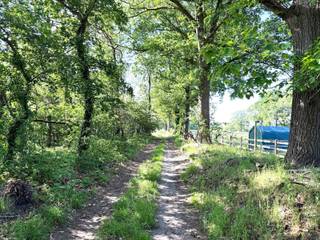 Twee omheinde<span> percelen landbouwgrond met een totale oppervlakte van 21.430m².</span><br /><br /><span>De percelen zijn volledig omheind en voorzien van een schuilstal, ideaal voor het houden van paarden. Water en elektriciteit zijn aanwezig. Daarnaast werden er leidingen aangelegd voor het vullen van drinkreservoirs voor dieren. De aanwezige fift wheel trailer is inbegrepen in de verkoopprijs.</span><br /><br /><span>Extra info: oppervlakte 21.430m² I infoplicht: Gvg, Ag-Ng, Gvv, Vkr, Gmo I </span><span>watertoets: P-score: B I G-score: A (perceelnummer 200 is de G-score onbekend).</span>