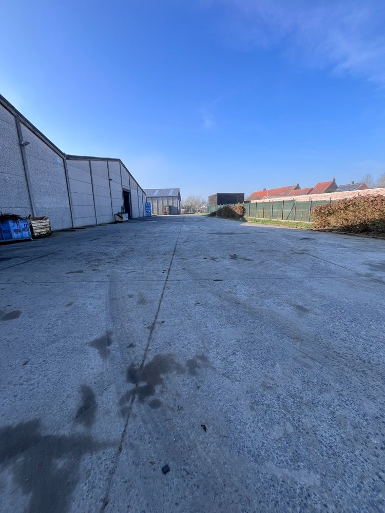 Commercial for rent in Bavikhove - photo 4