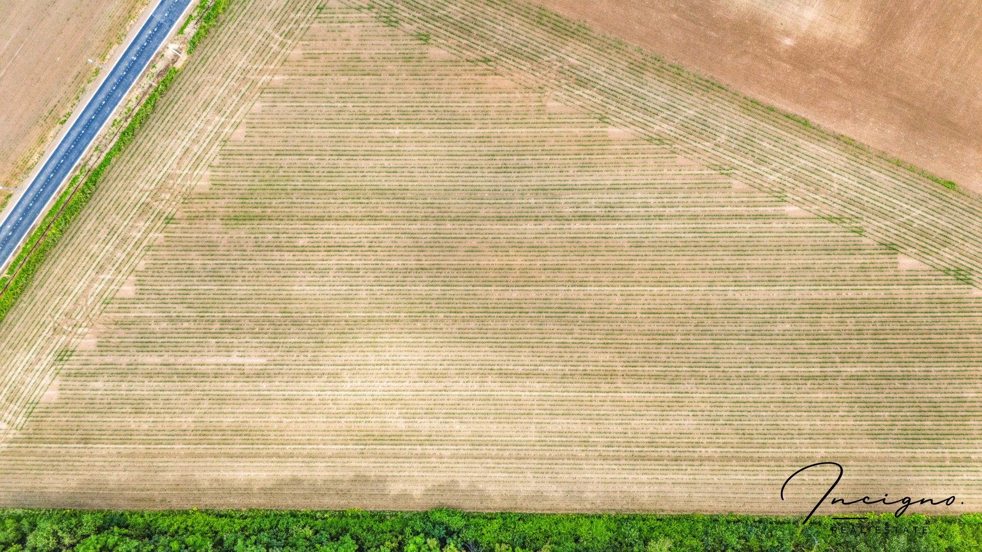 Terrain à vendre à Holsbeek - photo 2