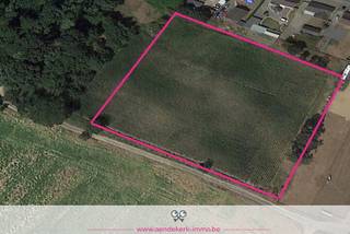 Ontdek dit bijzondere perceel van 10.291 m² grond in het landelijke Dilsen-Stokkem (Rotem), ideaal gelegen aan de Rozenlaan en gekenmerkt door...