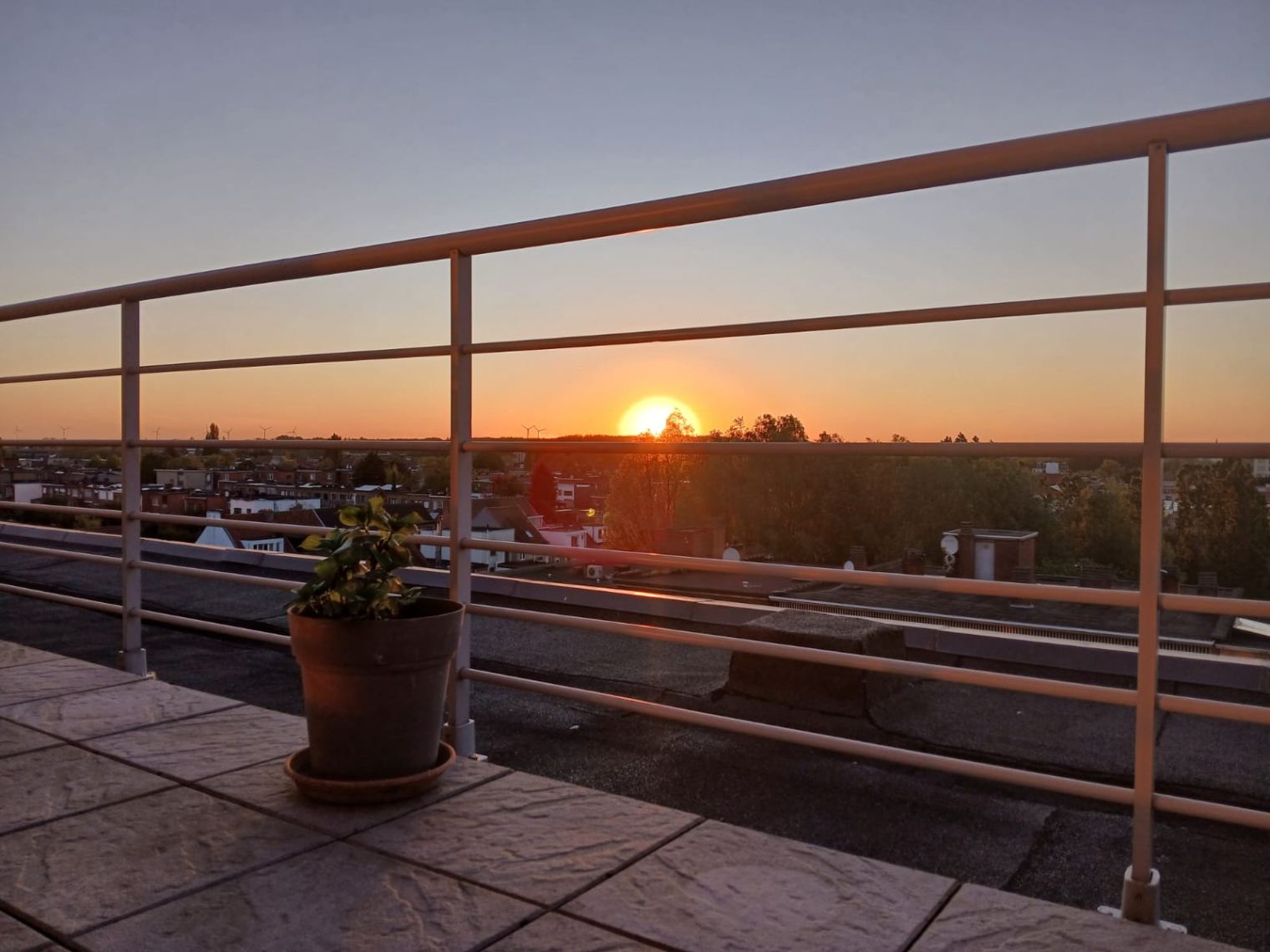 Appartement te koop in Hoboken met 1 slaapkamer - foto 5