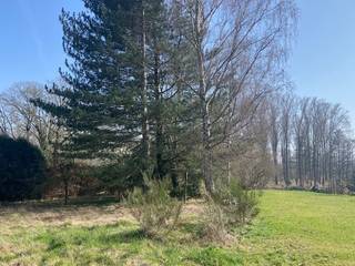 Bouwgrond open bebouwing 1499ca. Lot 2 A ( 864 ca ) +  achterliggend Lot 2 B ( 635 ca )Tussen huisnummers 33 en 37.Perceelbreedte : 17,08 meter,...