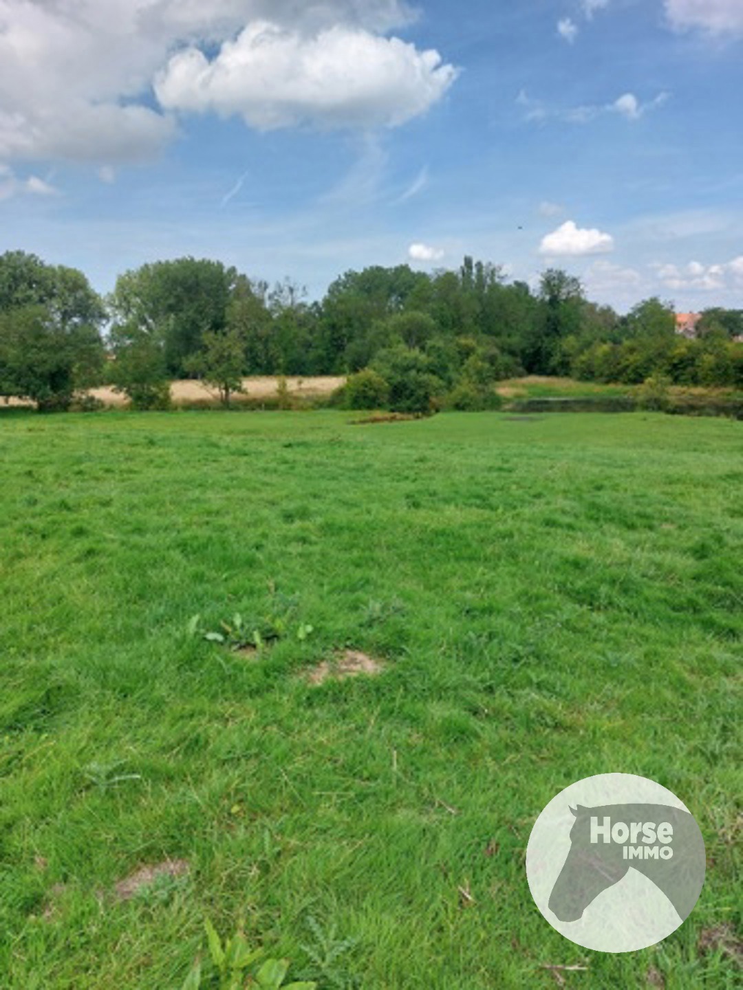 TONGEREN - Weide op +/- 1,5 ha - foto 4