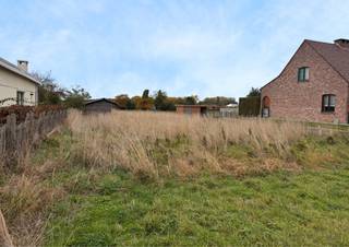 In de landelijke Veldstraat te Glabbeek bevindt zich deze prachtig gelegen bouwgrond van 10a 31ca, bestemd voor een vrijstaande ééngezinswoning. De rustige, groene omgeving biedt rust en privacy, terwijl voorzieningen vlot bereikbaar zijn. De centrale ligging zorgt bovendien voor een goede verbinding richting Tienen, Diest en Leuven.<br /><br />De bouwvoorschriften laten toe om een woning op te trekken met maximaal twee volwaardige bouwlagen. De bouwlijn ligt op 12 meter, met een bouwdiepte van 15 meter op het gelijkvloers en 12 meter op de verdieping. Hierdoor is er voldoende ruimte voor een comfortabele en moderne gezinswoning met een aangename tuin.<br /><br />Dankzij de landelijke ligging, het ruime perceel en de bouwmogelijkheden vormt dit perceel de ideale plek voor wie droomt van wonen in een groene, kindvriendelijke omgeving met een vlotte bereikbaarheid.<br /><br />Interesse of vragen? Neem contact op met Thomas via thomas@sophimo.be of +32 499 22 99 24 voor meer informatie of de volledige stedenbouwkundige voorschriften.