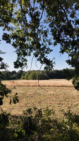 <h3><span><strong>Unieke bouwgrond op een uitzonderlijke locatie in Oud-Heverlee</strong></span></h3><p>In de <strong>Weertsedreef in Haasrode (Oud-Heverlee)</strong> bevindt zich deze bijzonder mooi gelegen bouwgrond, op een unieke en uiterst groene locatie <strong>aan de rand van het Meerdaalwoud</strong>.</p><p>De Weertsedreef vormt een <strong>residentieel en bijzonder rustig bouwlint</strong>, omgeven door groen en gekenmerkt door voornamelijk vrijstaande woningen, charmante landhuizen en villa’s op ruime percelen. Het uitgesproken residentiële karakter, de rust en de nabijheid van uitgestrekte natuurgebieden maken dit tot een van die locaties waar slechts uitzonderlijk vastgoed op de markt komt.</p><p>De omgeving is een absolute troef. <strong>Heverleebos en Meerdaalwoud liggen letterlijk binnen handbereik</strong>, terwijl ook de <strong>Zoete Waters</strong> vlakbij gelegen zijn. Wandelen, fietsen en genieten van de natuur beginnen hier vrijwel aan de voordeur. Tegelijkertijd geniet de locatie van een uitstekende bereikbaarheid richting <strong>Leuven, Haasrode en Oud-Heverlee.</strong></p><p>Een <strong>zeldzame opportuniteit voor wie een vrijstaande woning of villa wil realiseren op een residentiële locatie waar ruimte, natuur en privacy centraal staan</strong>. Bel of mail Jacky voor meer info op 0495 53 46 49 of jacky@connect-immo.be </p><p>Wglk-Gvkr-Gvv-Gdv</p>