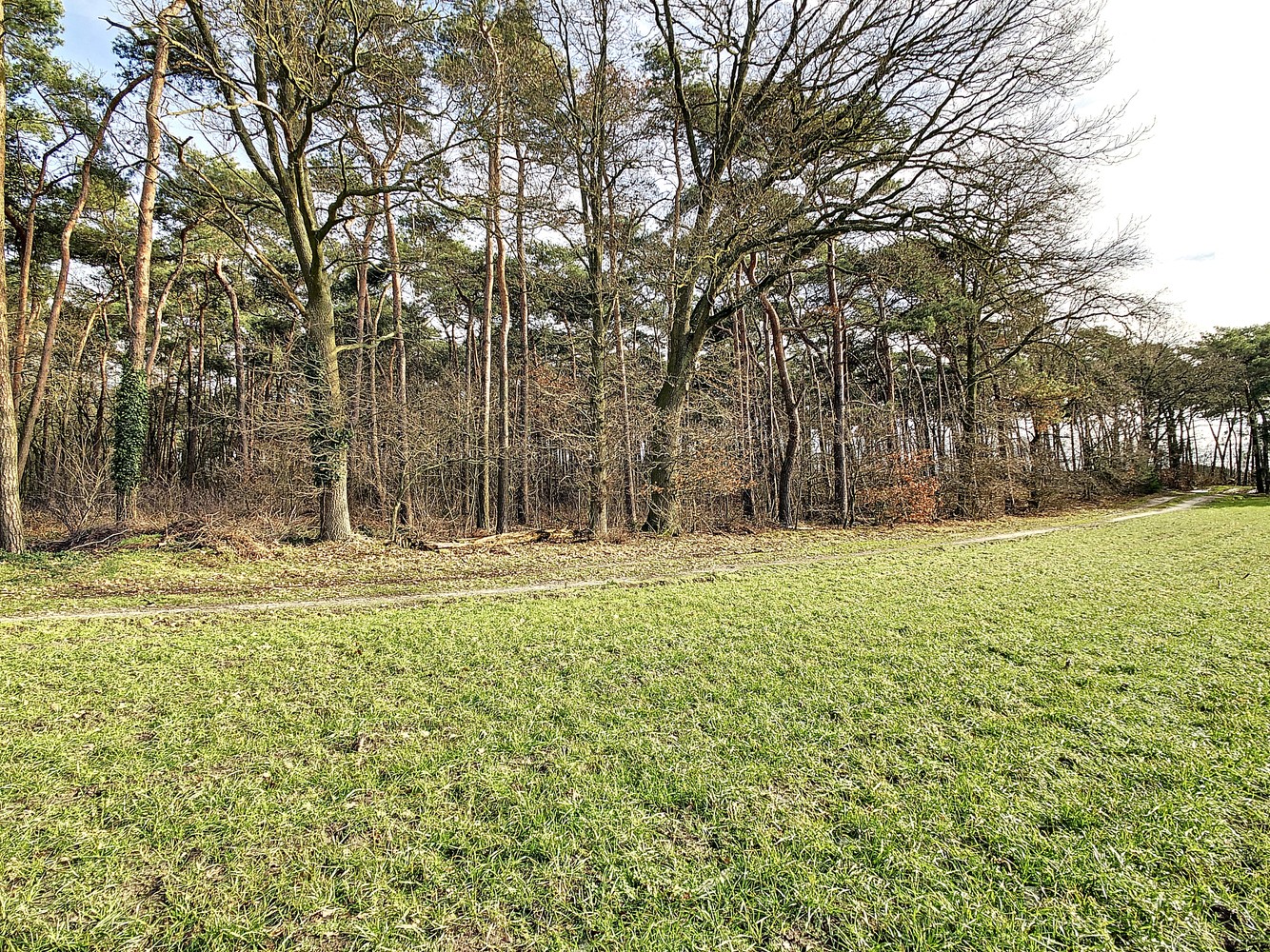 Perceel van 16.501m² aan de Kreyelerheide (bos in landschappelijk waardevol agrarisch gebied) - foto 5