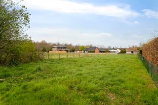 Terrain à vendre à Kruisem