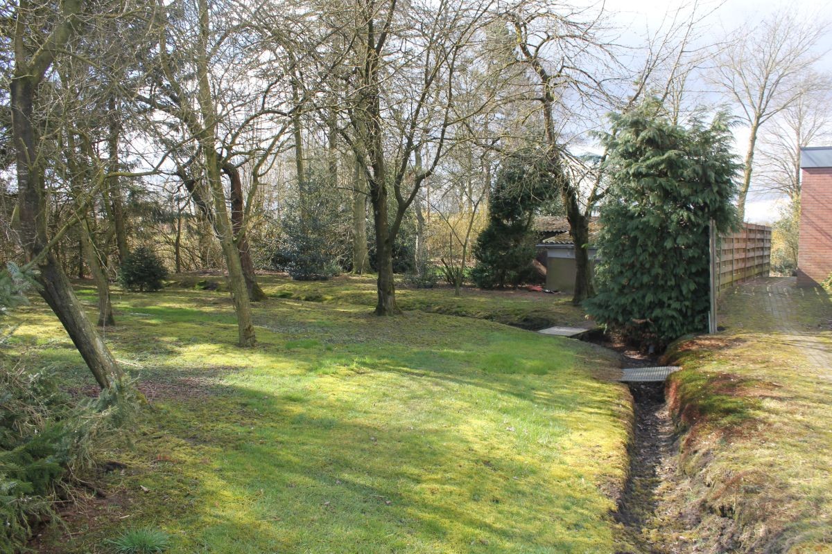 Hoeve met stallen en landbouwgrond te koop te Weelde - foto 4