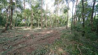 Rustig en residentieel gelegen bouwgrond van 31a10ca met private toegangsweg.Gelegen vlakbij golf-en meerdomein, dichtbij school en openbaar...