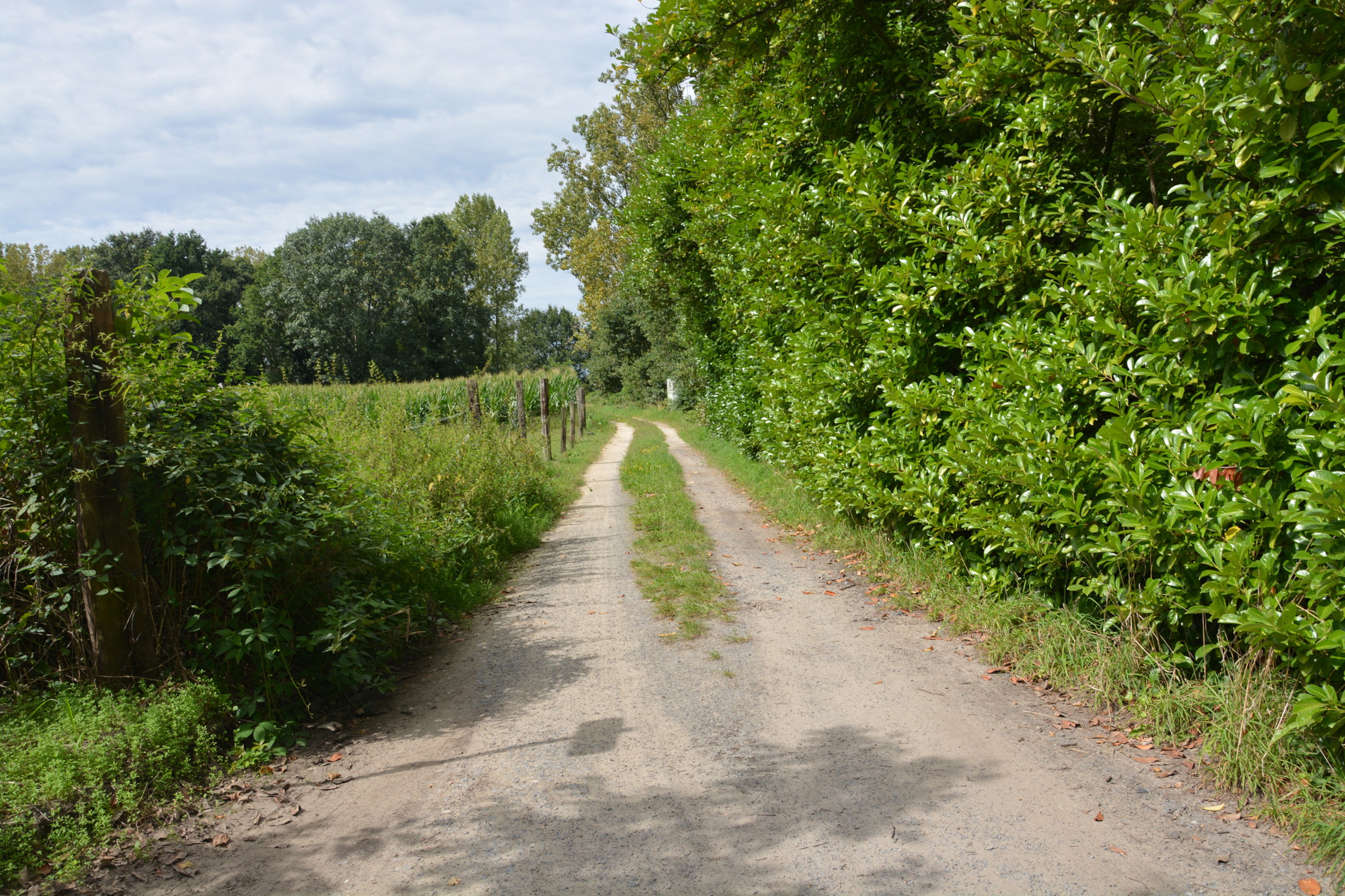 Maison à vendre à Werchter avec 4 chambres - photo 4