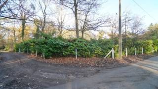 Rustig gelegen mooie bouwgrond van circa 50 are waarvan deels te behouden bos langsheen rustige residentiële straat zijwaarts van de Tremelobaan op 1,5 km van het centrum.<br />Zuiden langs linkerzijde. <br />Perceelsbreedte: circa 30 meter<br />Bouwbreedte: vooraan circa 14 meter - achteraan 20 meter<br />Dakhelling minimum 5° dakvorm vrij - plat dak toegelaten - kroonlijsthoogte max. 7 meter<br />Bijgebouw van 50m² toegelaten en houten tuinhuis 16m².<br />Geen bouwverplichting. Goedgekeurde verkaveling (lot 2)<br />Kosten voor opmeting + afpaling 2.420 euro en aandeel verkavelingsakte ten koste van de koper.<br />Gelegen langsheen Raymond Lambertslaan links van nr. 10.<br />Stedenbouwinfo: gelegen in woonpark (=residentieel woongebied), verkavelingsvergunning uitgereikt, geen voorkooprecht ruimtelijke ordening, geen rechterlijke herstelmaatregel of bestuurlijke maatregel opgelegd.<br />Geen risicozone voor overstromingen - perceelscore A -  te behouden bos achteraan perceelsore B