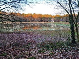 UNIEK BOUW- OF RENOVATIEPROJECT: Sprookjesachtig bosperceel van 1.672 m² met PERMANENTE BEWONING, charmante chalet en mede-eigendom in het Rommersven!<br /><br />Droomt u van uw eigen droomwoning te midden van de natuur, op een locatie die absolute privacy biedt? In het gezochte en idyllische Sint-Job-in-'t-Goor (Brecht) stellen wij met trots deze zeldzame buitenkans voor! Verscholen in een uiterst rustige, doodlopende straat (Zone 30, BPA Mieksebaan) ligt een majestueus perceel van 1.672 m² waar rust en natuurbeleving op het allerhoogste niveau samenkomen. Hier ontwaakt u met het gefluit van vogels, terwijl eekhoorns en egels u begroeten in uw eigen achtertuin.<br /><br />• Officieel toegelaten permanente bewoning<br />• Chalet met potentieel (Renovatie of Wederopbouw): De bestaande houten chalet (ca. 65 m²) kan grondig gerenoveerd worden naar hedendaags comfort, óf dient als de perfecte basis voor afbraak en wederopbouw van uw gepersonaliseerde droomwoning op een schitterende inplanting op het perceel.<br />• Riant droomperceel (1.672 m²): Volledig omgeven door volwassen groen, wat garant staat voor ongeziene privacy en een unieke fauna & flora rondom.<br />• Exclusieve crown jewel: Mede-eigendom Rommersven: Als eigenaar wordt u tevens mede-eigenaar van het feeërieke, private Rommersven (een natuur/watervak van maar liefst 26.025m²), duurzaam beschermd via een goedgekeurd Natuurbeheerplan van het Agentschap voor Natuur en Bos (ANB).<br />• Topligging & Gunstige Vaste Lasten: Verkeersluw gelegen (doodlopend / Zone 30).<br /><br />Een zeldzame vastgoedopportuniteit voor wie kiest voor de ultieme combinatie van rust, een uniek natuurkader en een blanco canvas voor renovatie of nieuwbouw op een absolute droomlocatie. Laat u op locatie betoveren door de mogelijkheden en de magie van het Rommersven!