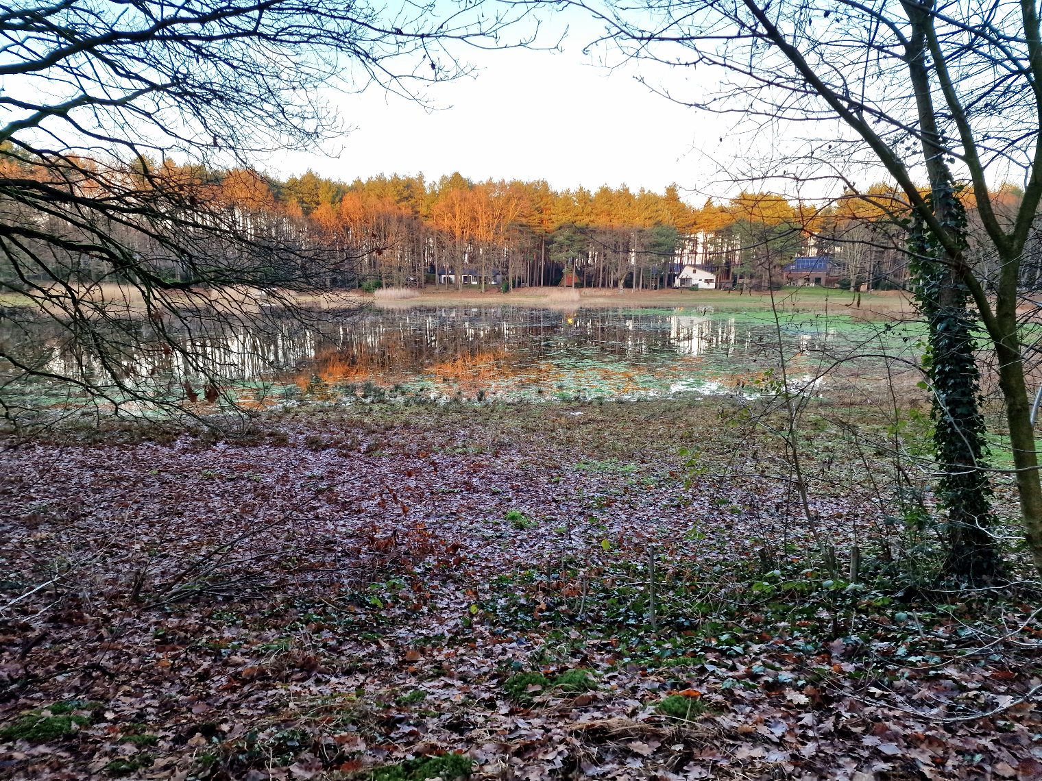 Huis te koop in Brecht met 1 slaapkamer - foto 2