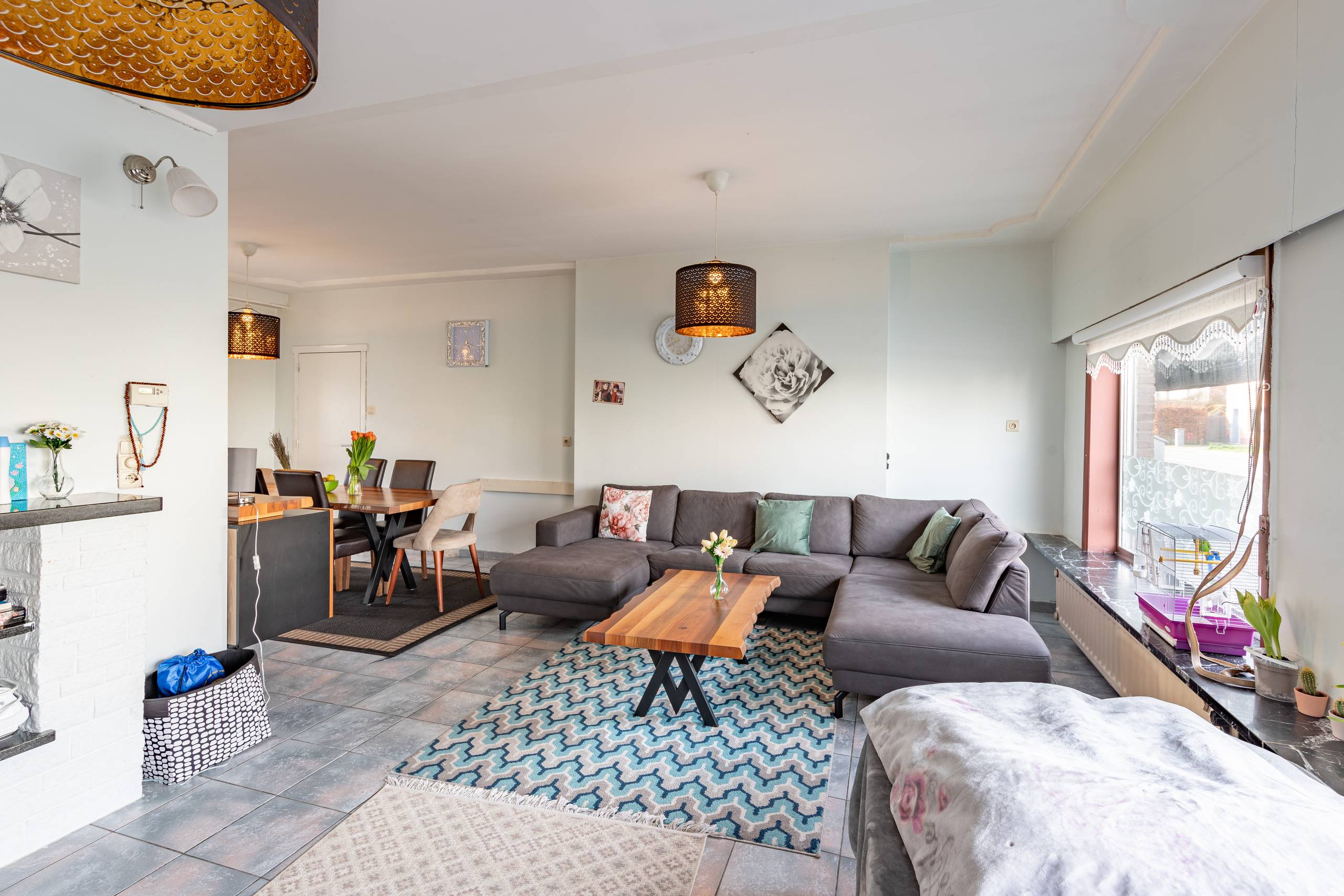 Commercial à vendre à Assenede avec 4 chambres - photo 2