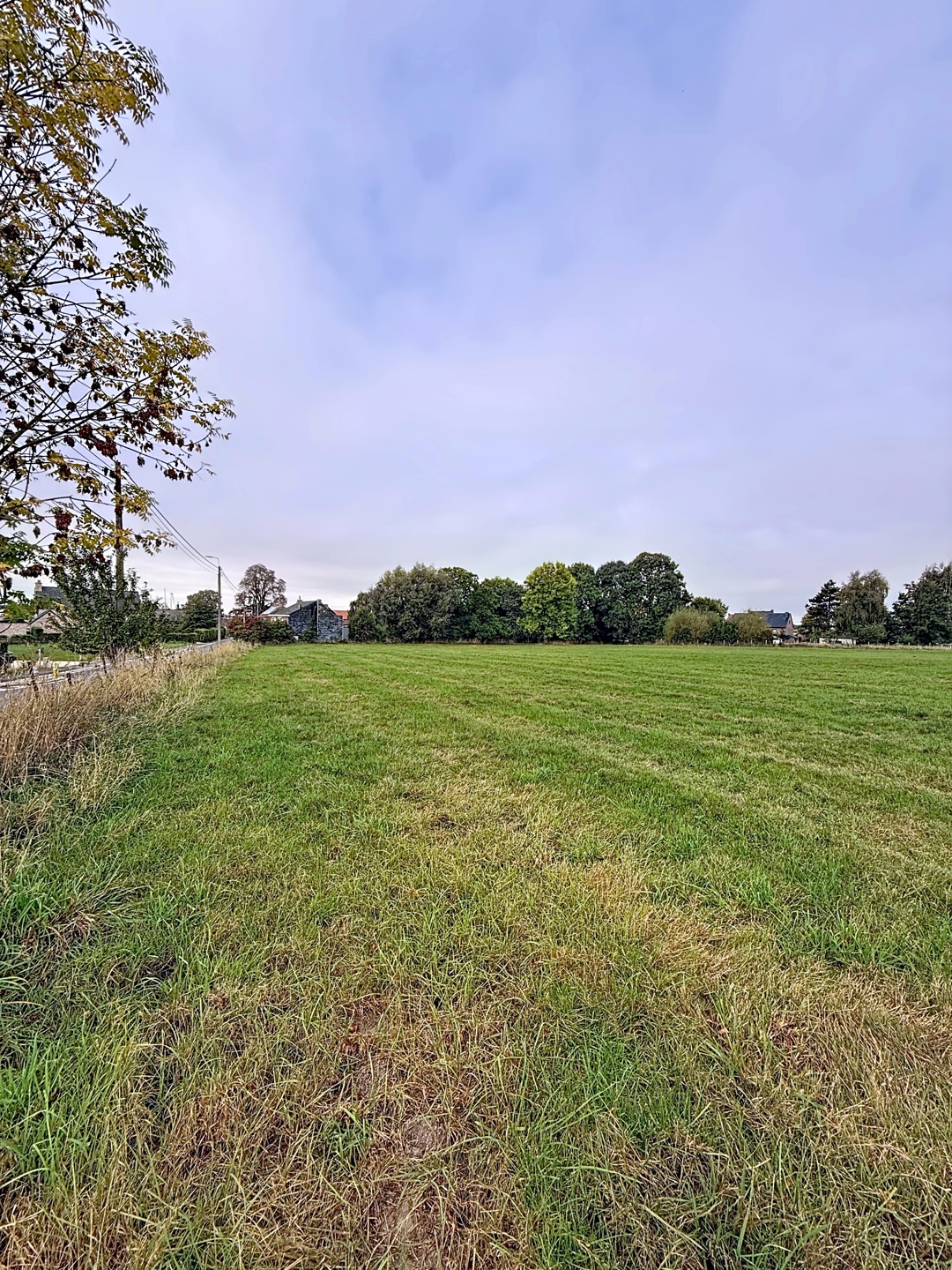 Terrain à vendre à Hannut - photo 2