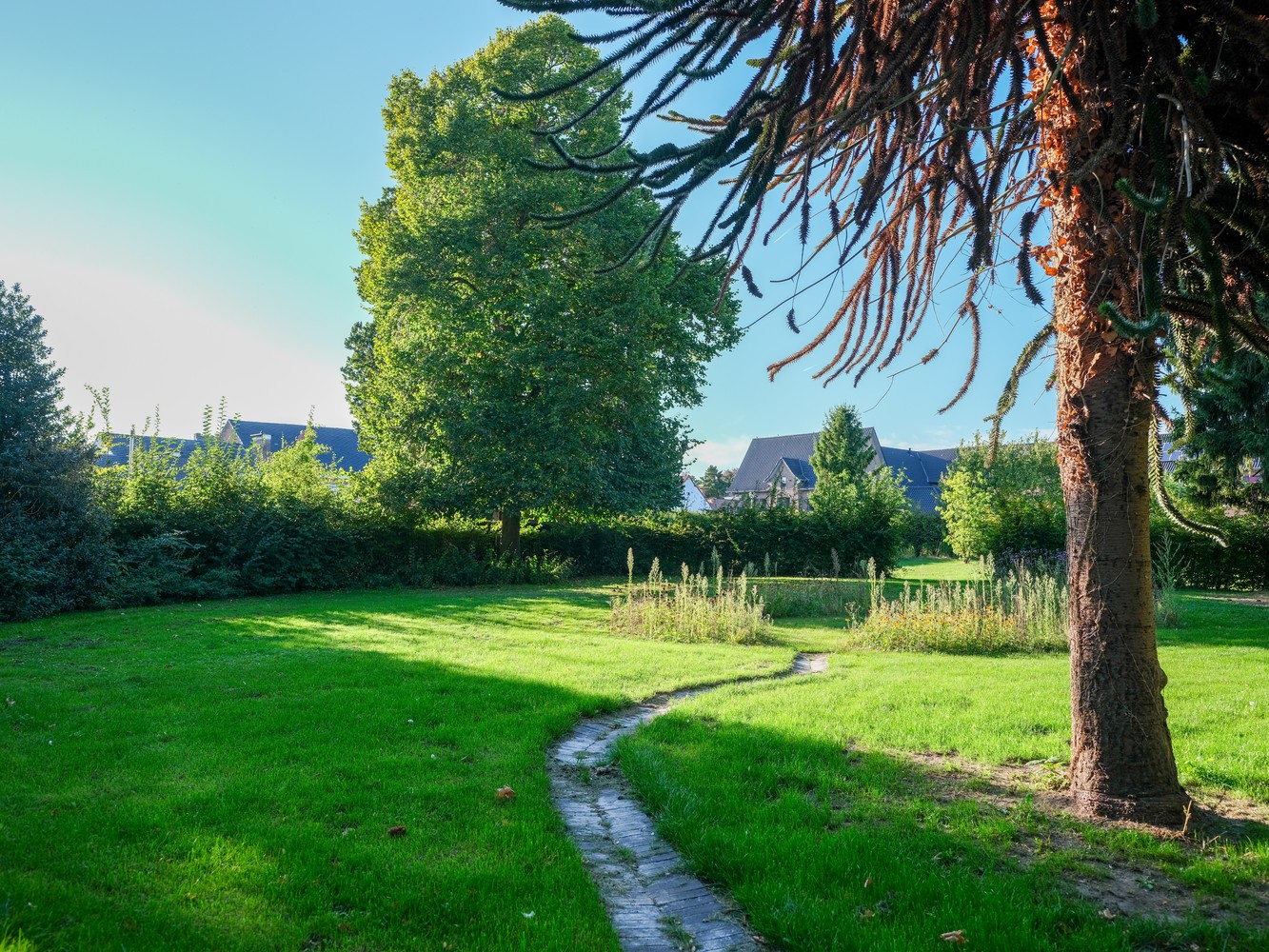 Voor liefhebbers van karaktervolle panden: unieke pastorie in dorpscentrum - foto 2