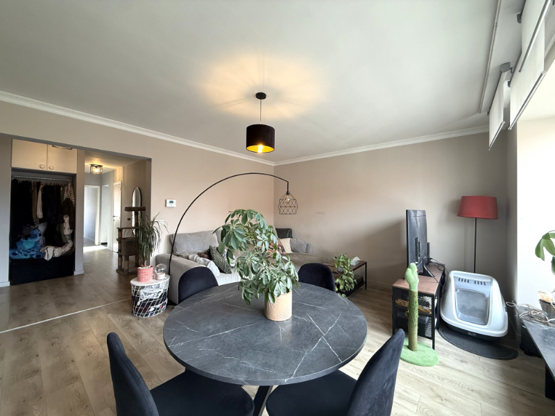 Lichtrijk appartement met terras tussen Dampoort en Sint-Jacobs - foto 4