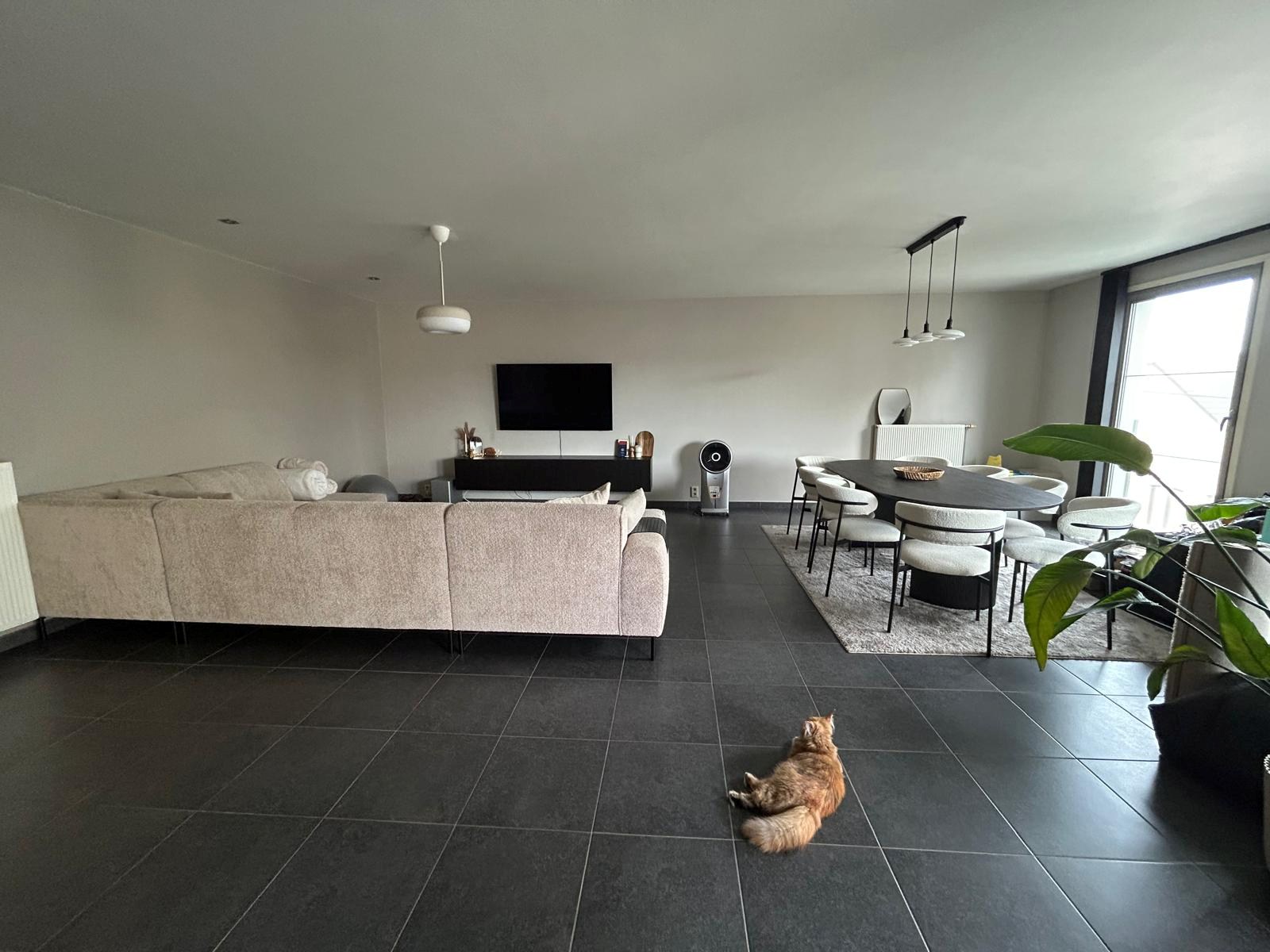 Apartment for rent in Lommel with 1 bedroom - photo 4