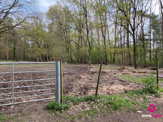 Terrain à vendre à Heusden-Zolder