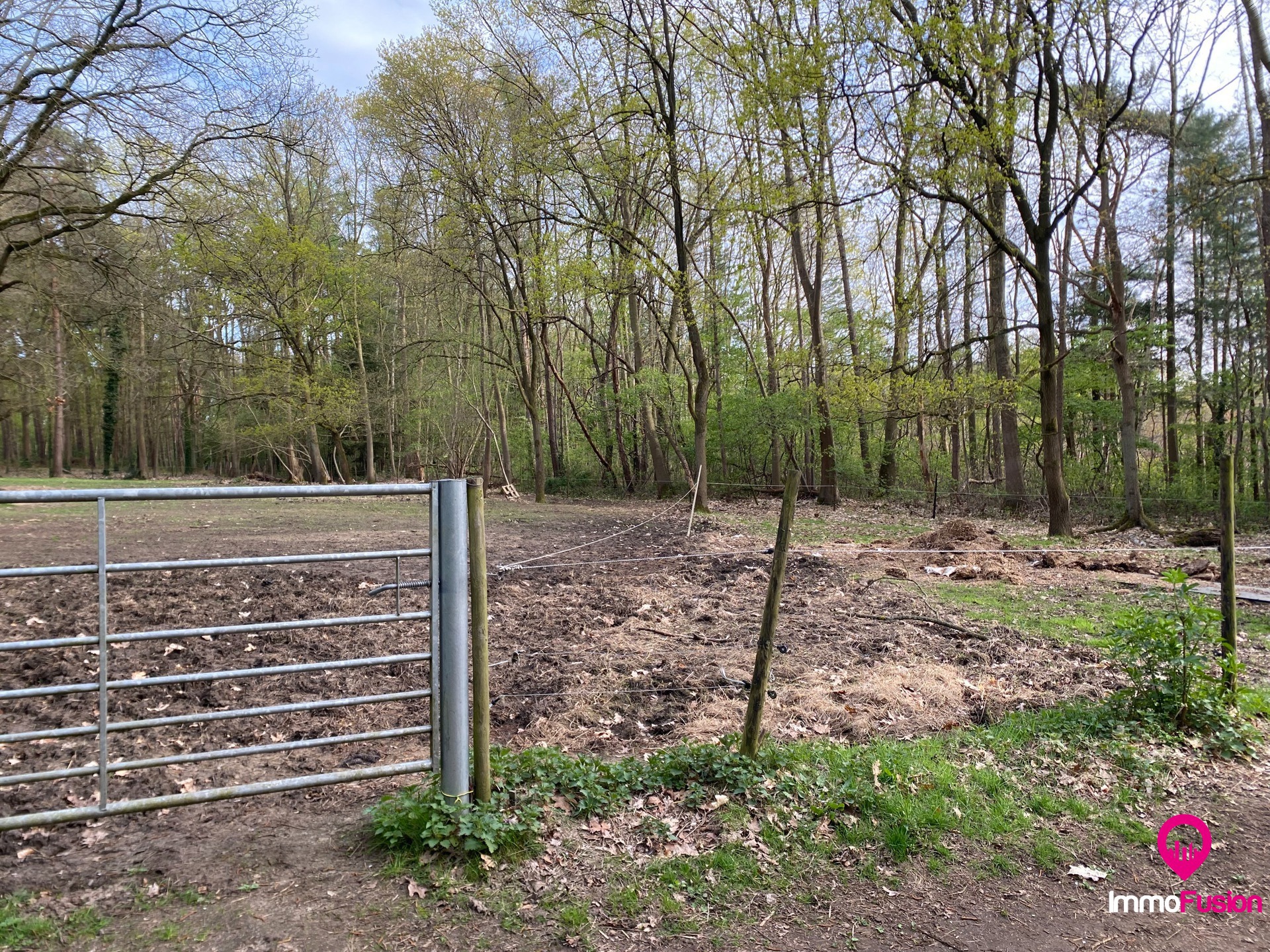 Ideale weide voor dierenliefhebbers in landelijke omgeving - foto 3