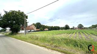 Land for sale in Balen