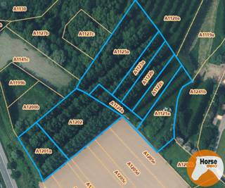 ZOTTEGEM - +/- 1,5HA Weide en +/- 48are bosDit perceel kunt u terugvinden onder ZOTTEGEM AFD4/Grotenberge, sectie: A, nummers: 1201a - 1202 - 1124a -...