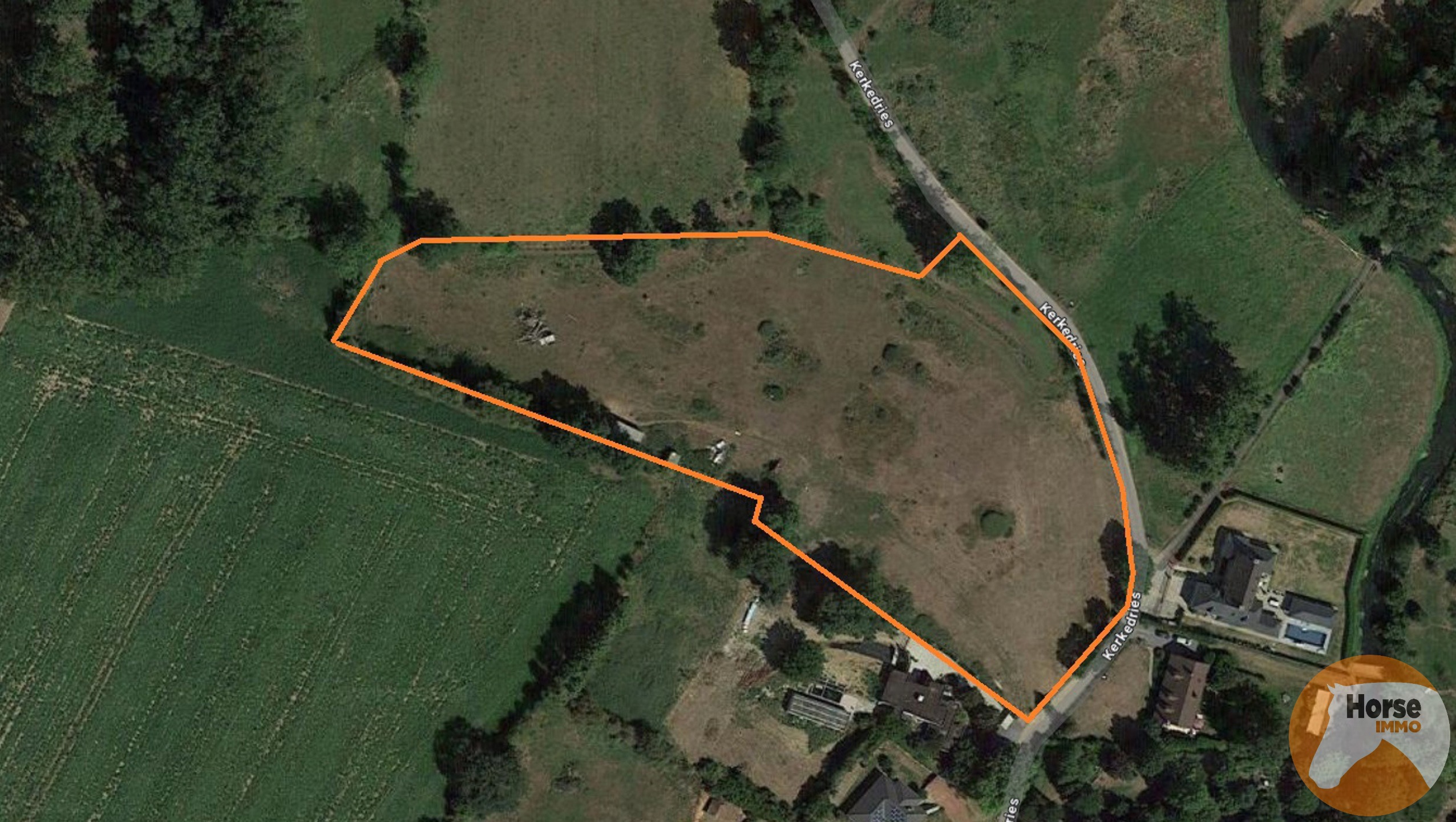 TONGEREN - Weide op +/- 1,5 ha - foto 1