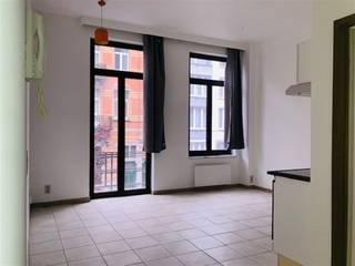 Comfortabele studio op de 1ste verdieping. Klein inkomhal, lichtrijk leefruimte met eethoek en eenvoudig uitgeruste keuken (oven,...