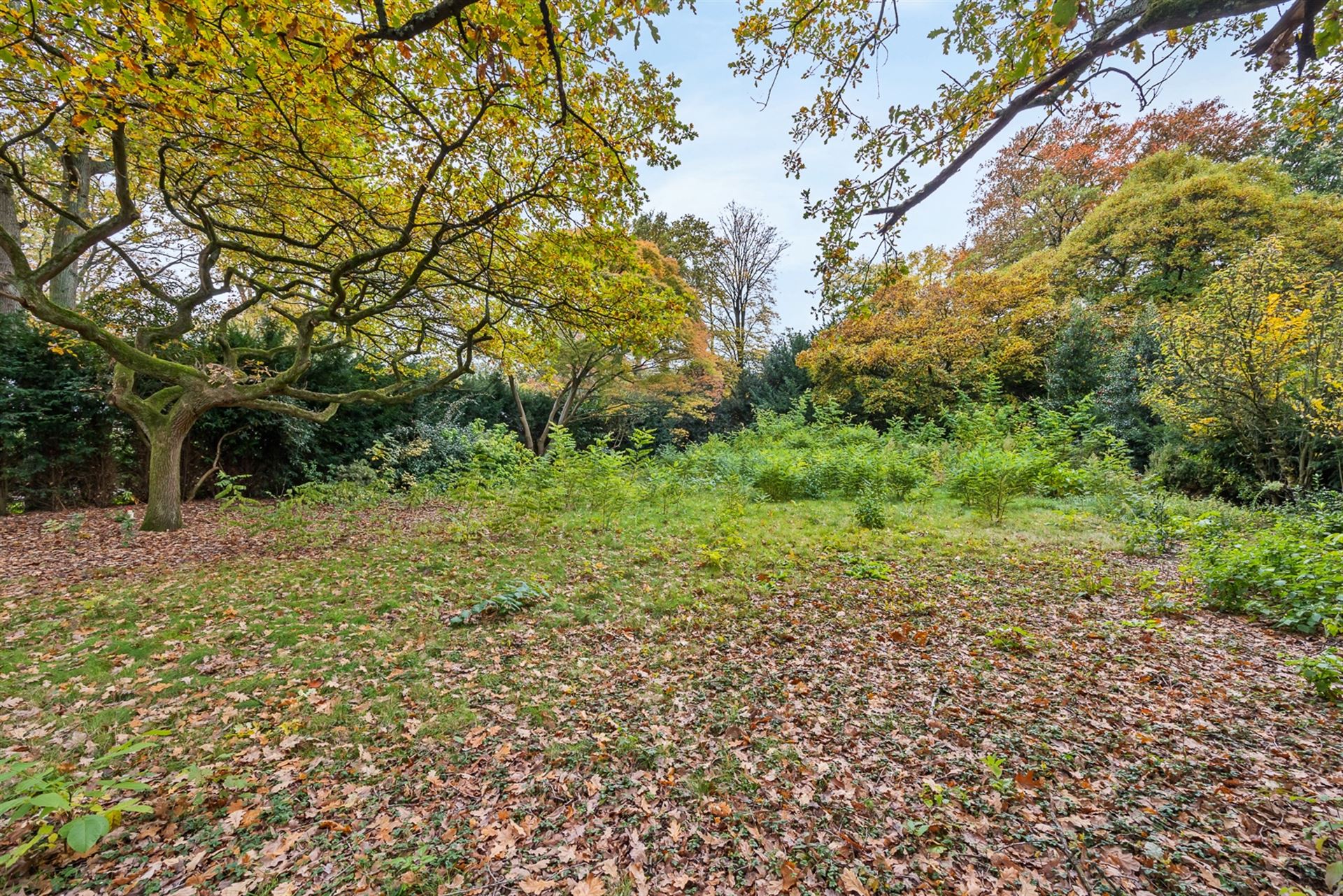 Maison à vendre à Anvers avec 6 chambres - photo 5