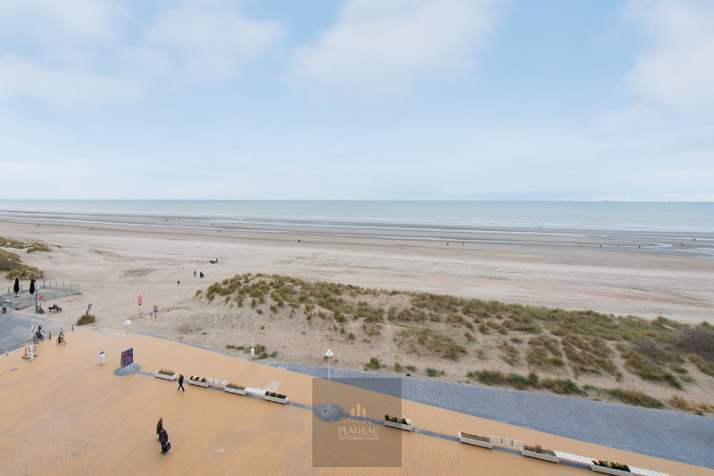 Ruim doorloop-appartement met 2 slaapkamers in de vernieuwde residentie Scorpio op de zeedijk te Nieuwpoort-Bad. - foto 4