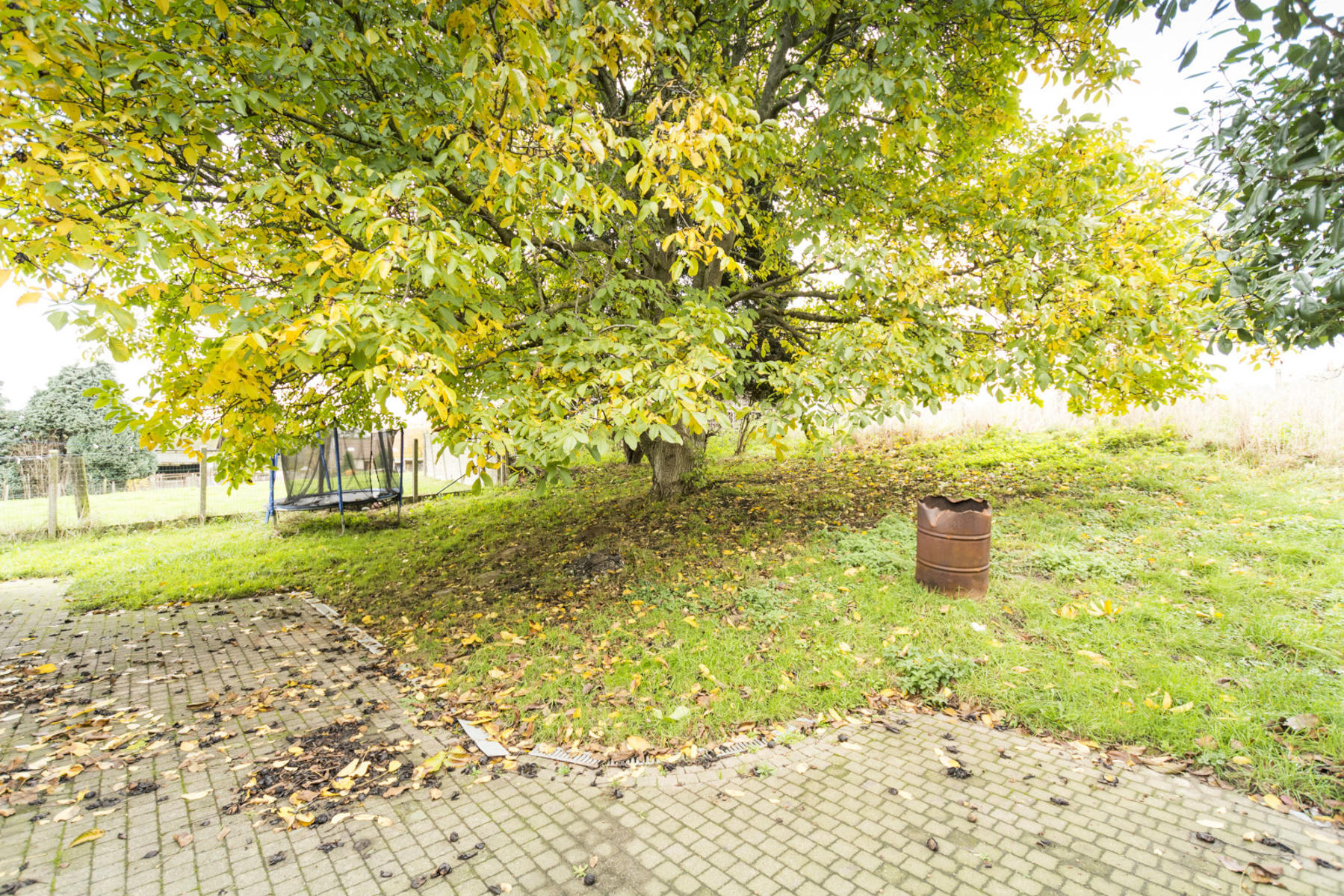 Maison à louer à Asse avec 3 chambres - photo 3