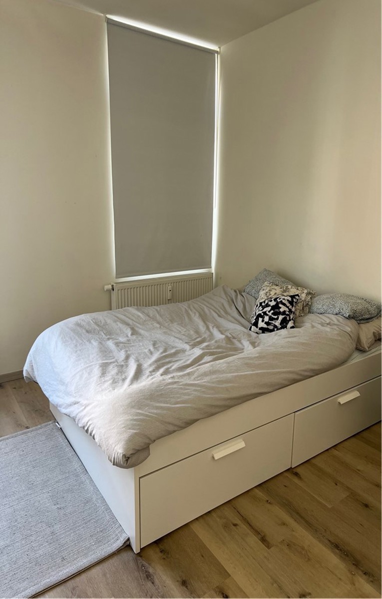 Hippe studentenkamers te huur in recent gerenoveerd gebouw - foto 4